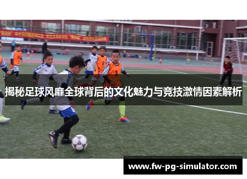 揭秘足球风靡全球背后的文化魅力与竞技激情因素解析