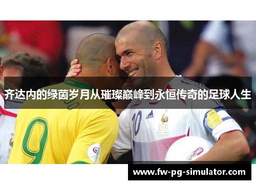 齐达内的绿茵岁月从璀璨巅峰到永恒传奇的足球人生